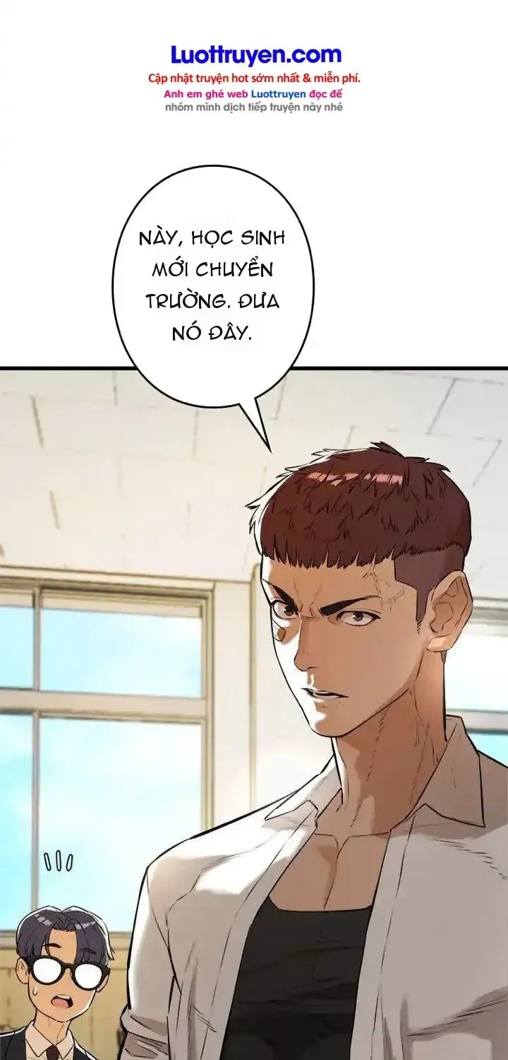 Chapter 11 - Trang 41