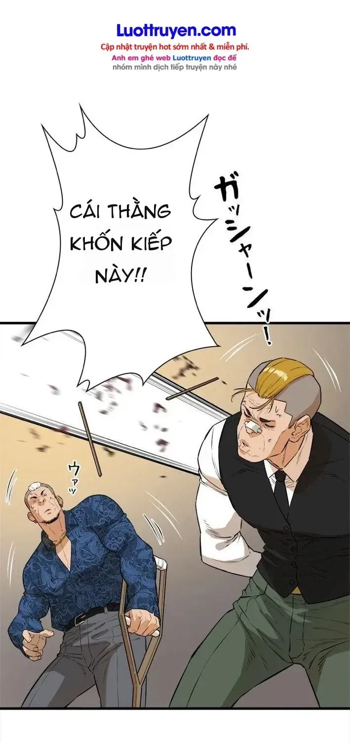 Chapter 13 - Trang 43