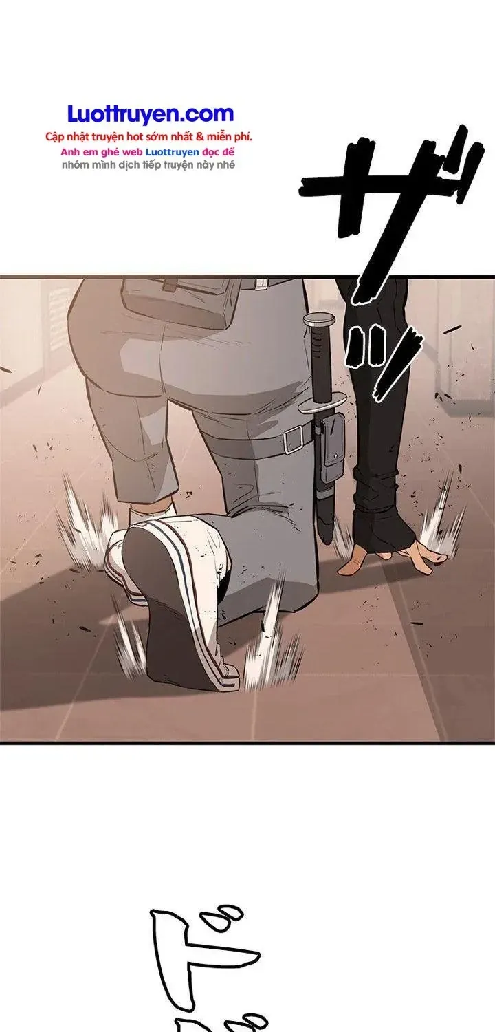 Chapter 17 - Trang 113