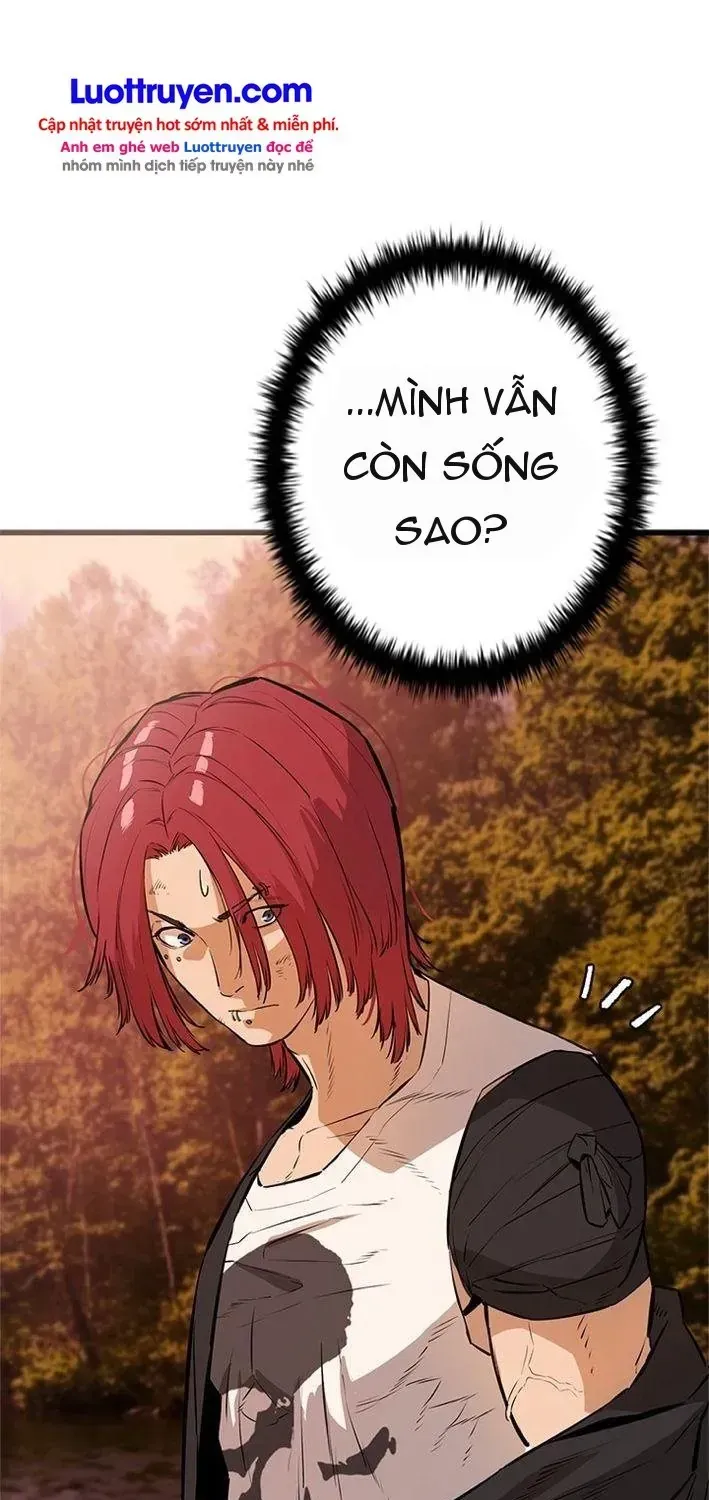 Chapter 19 - Trang 61