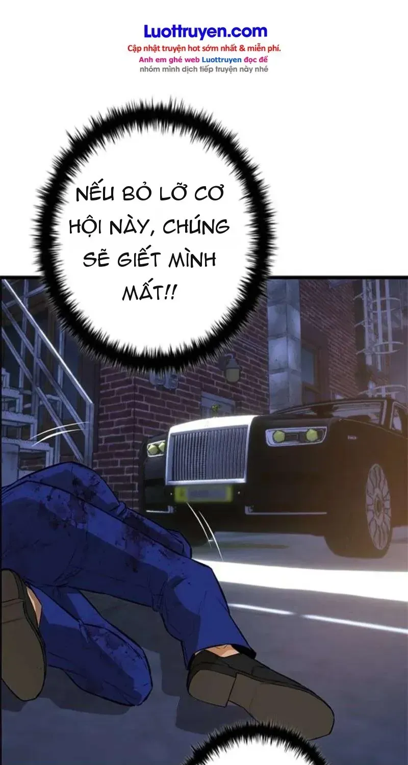 Chapter 24 - Trang 52