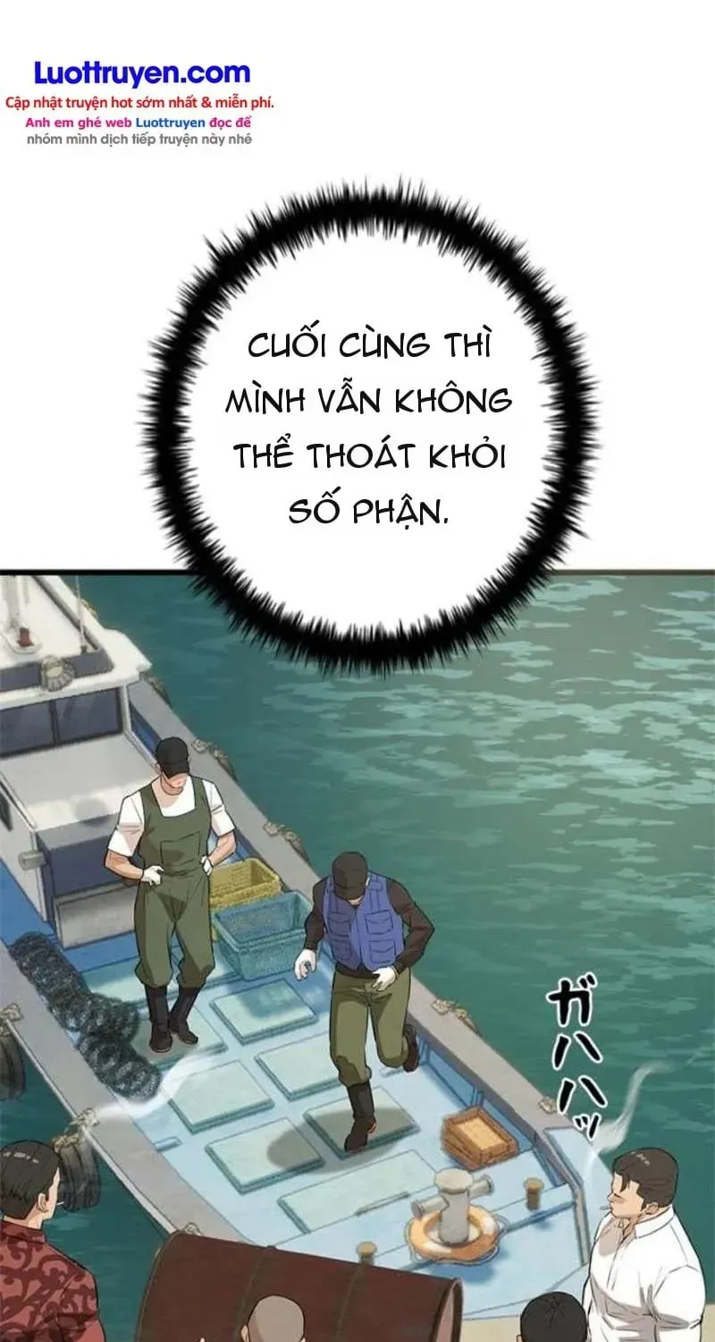 Chapter 27 - Trang 42