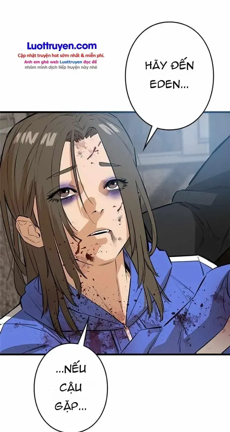 Chapter 31 - Trang 21