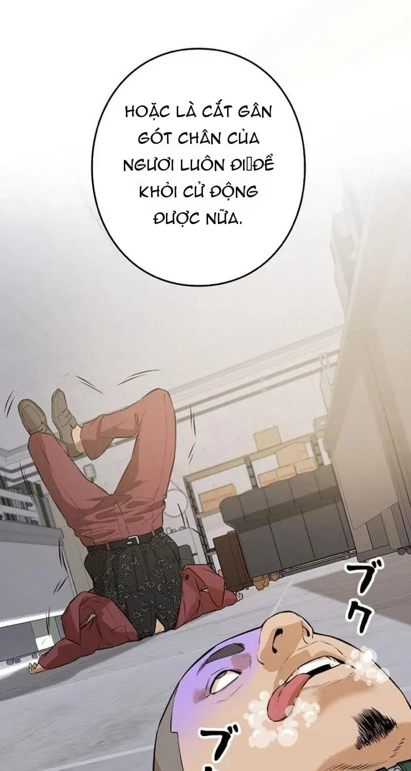Chapter 5 - Trang 61