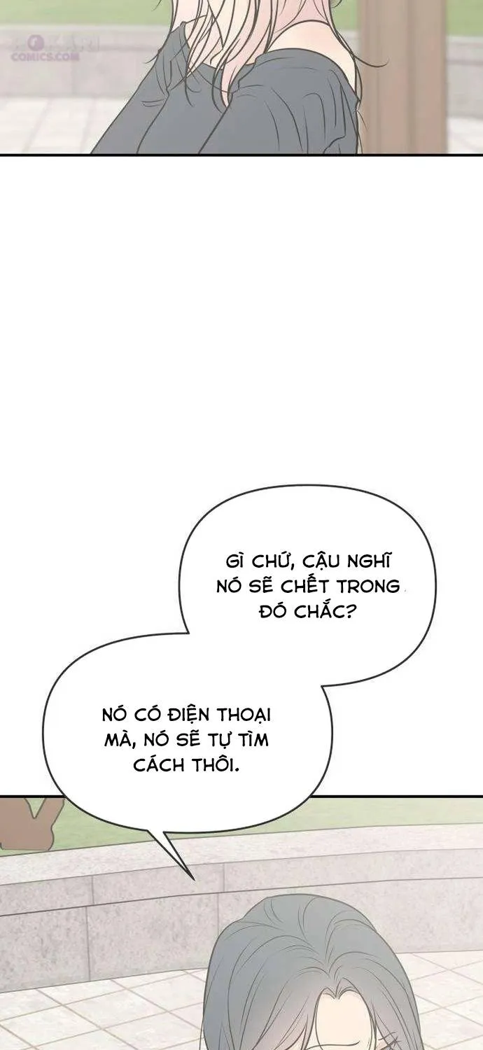 Scandal Bảo Vệ Hôn Nhân - Chap 13 - Trang 67