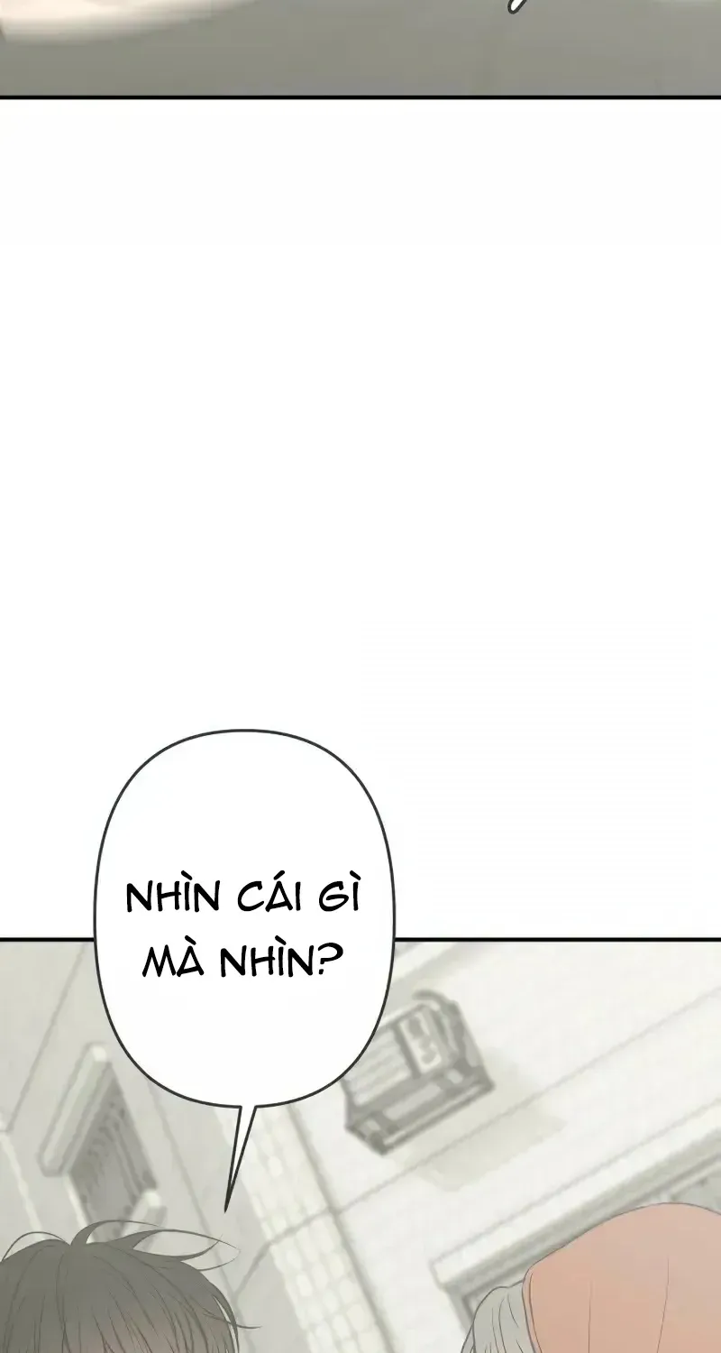 Scandal Giữ Lấy Hôn Nhân - Chap 23 - Trang 86