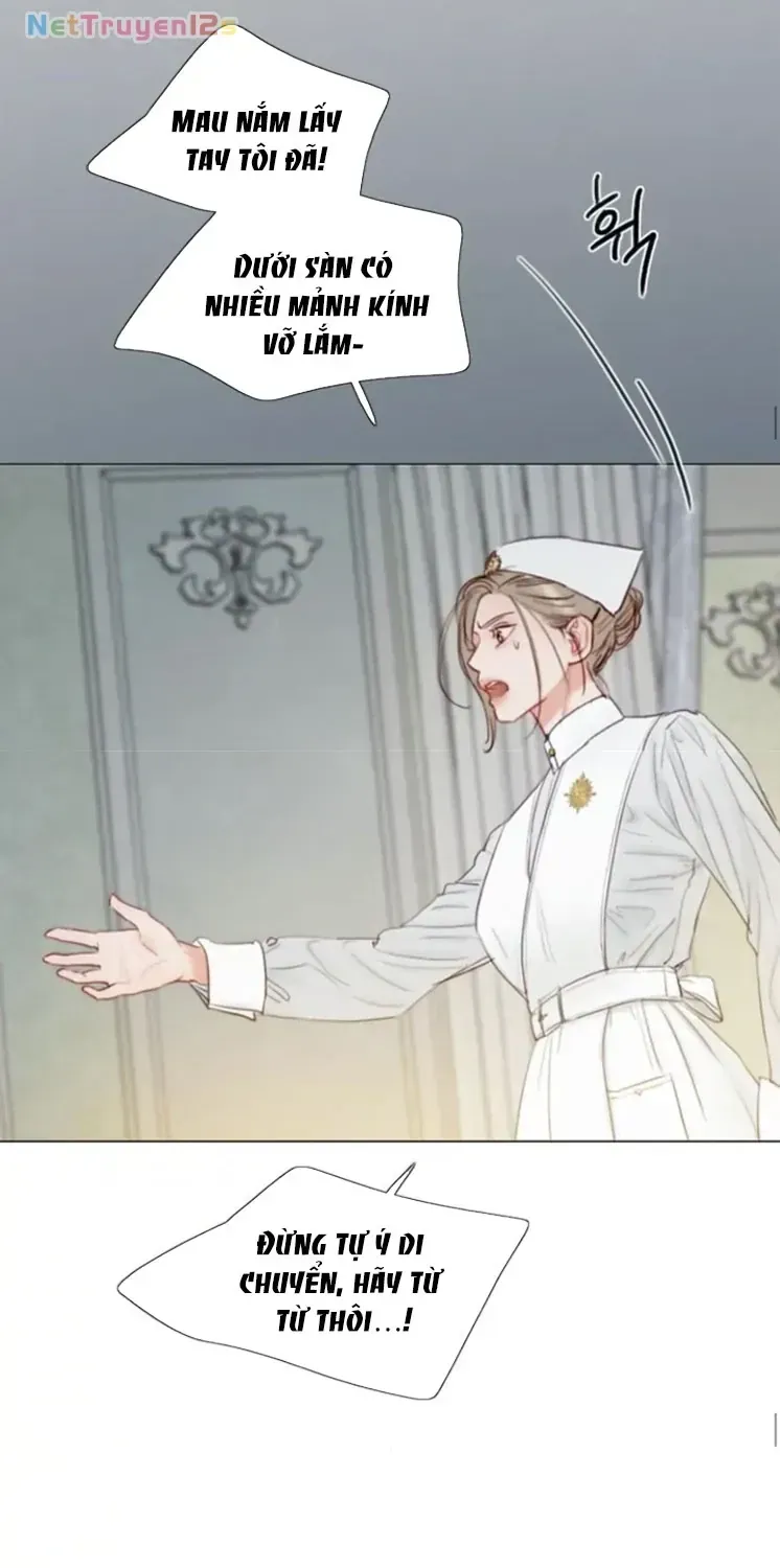 Chapter 132 - Trang 77