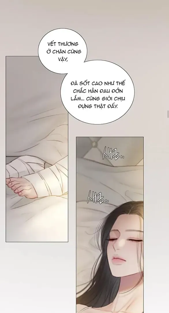 Chapter 133 - Trang 13