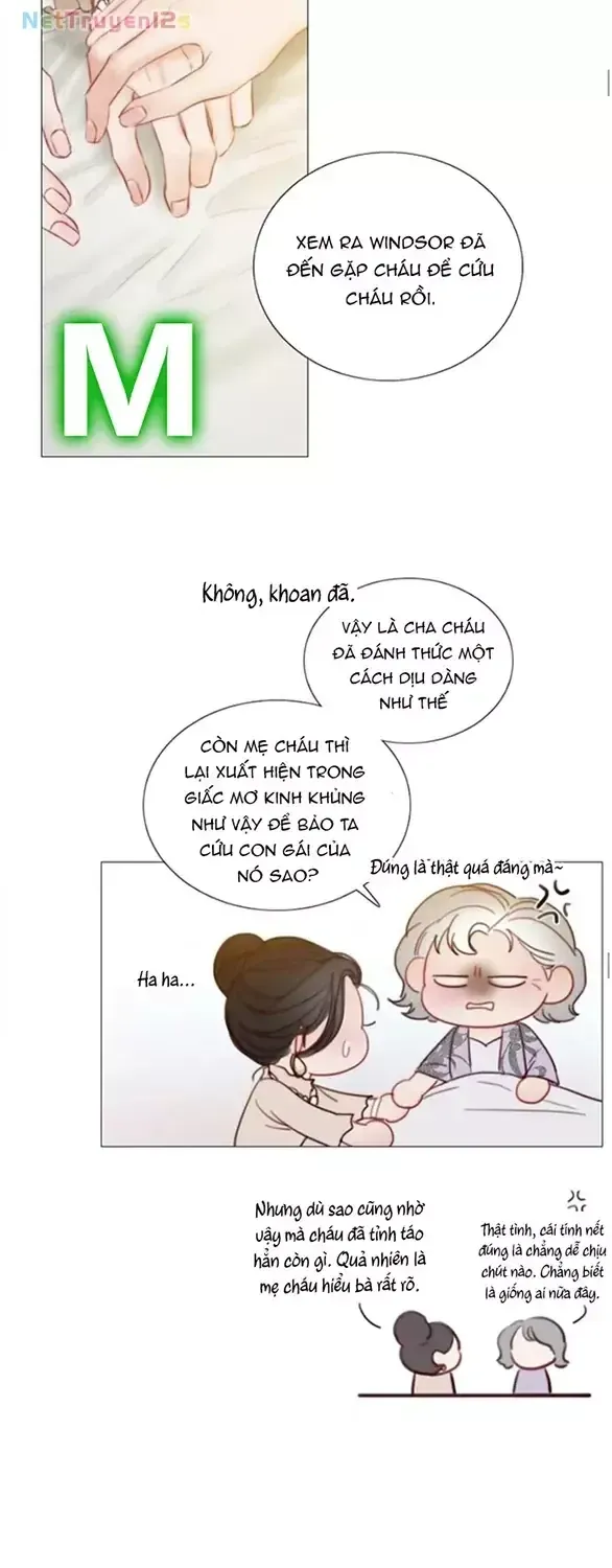 Chapter 136 - Trang 41