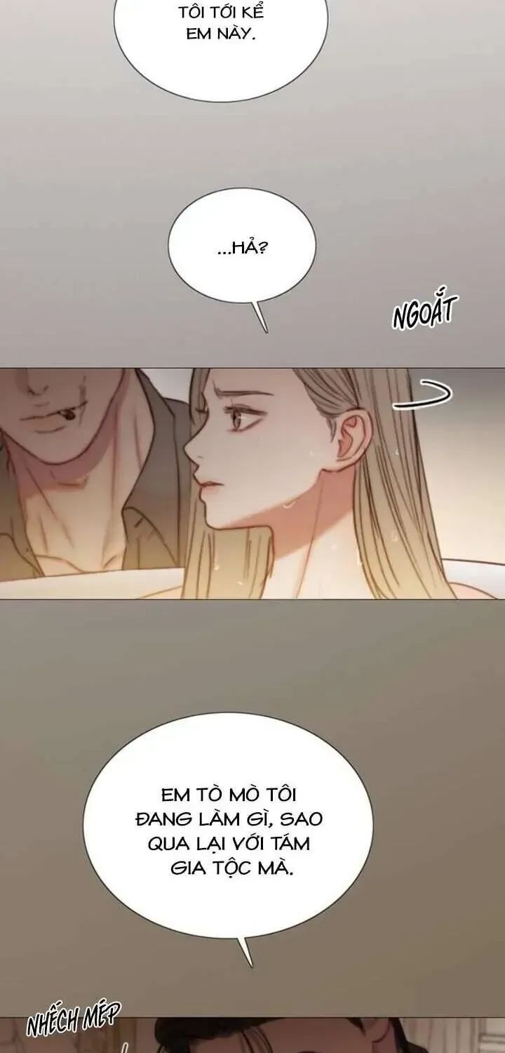 Chapter 173 - Trang 22