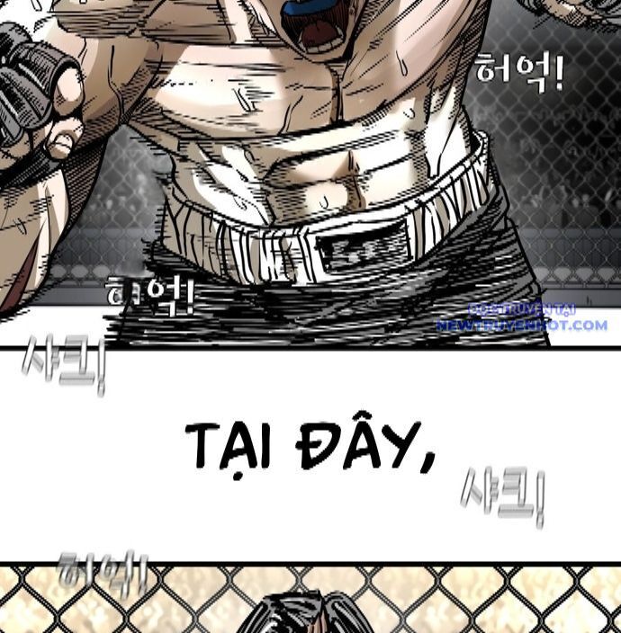Chương 337 - Trang 168