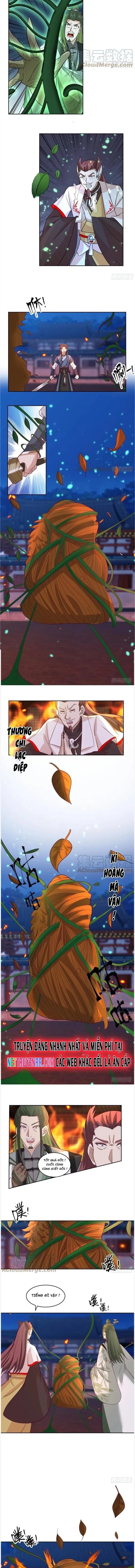 Trang 3