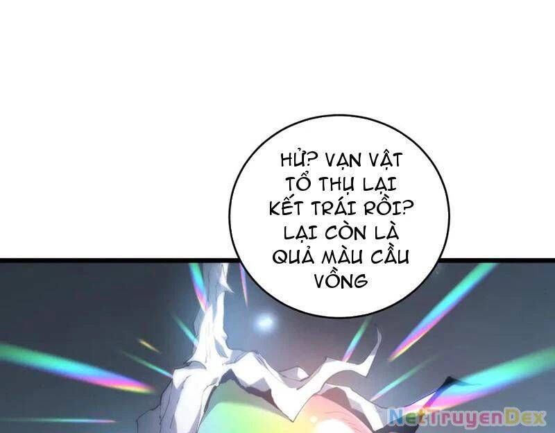 Ta Là Chúa Tể Trùng Độc - Chap 40 - Trang 4