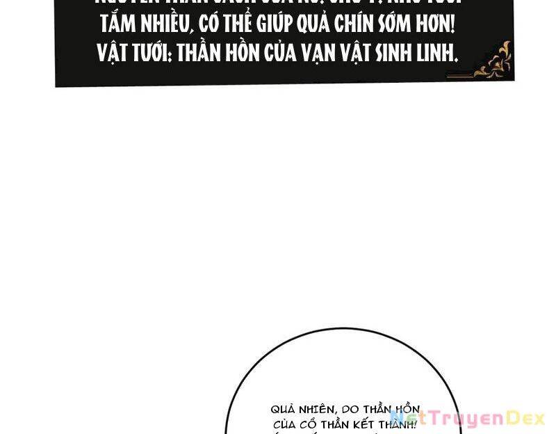 Ta Là Chúa Tể Trùng Độc - Chap 40 - Trang 8