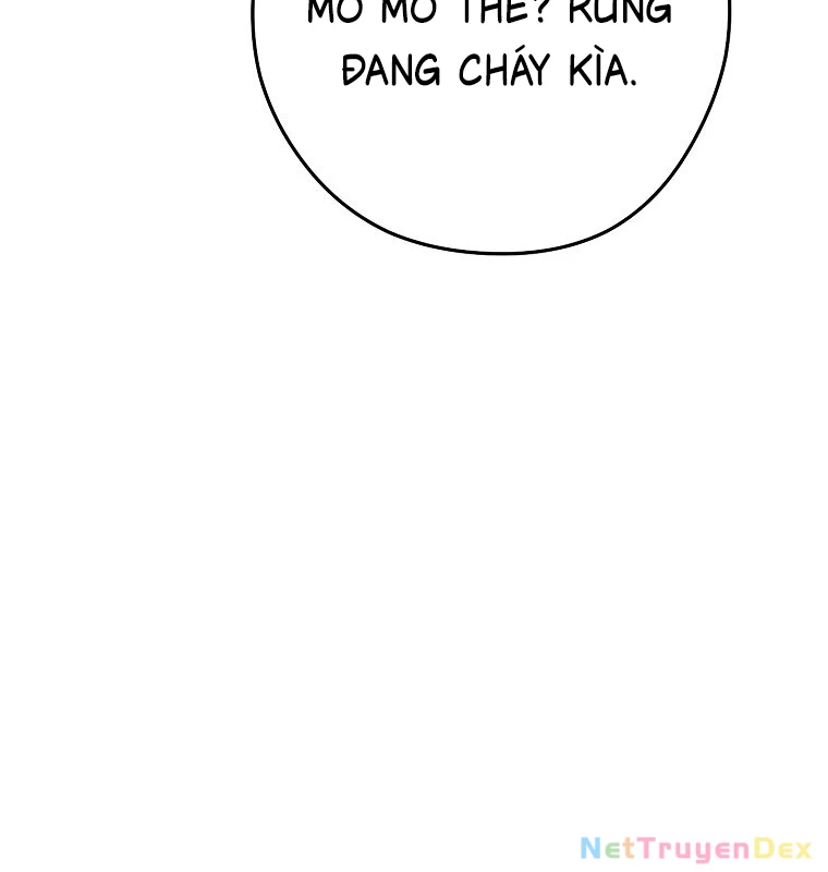 Chương 231 - Trang 146