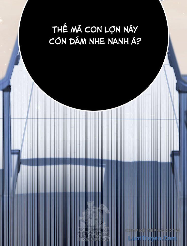 Trang 119