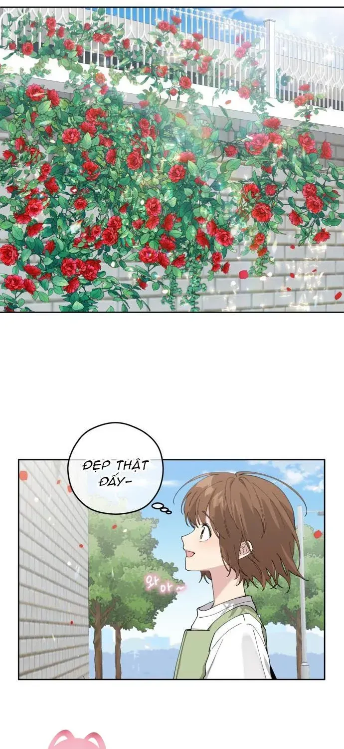 Chapter 2 - Trang 16