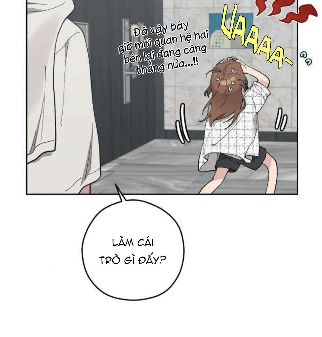 Chapter 21 - Trang 31