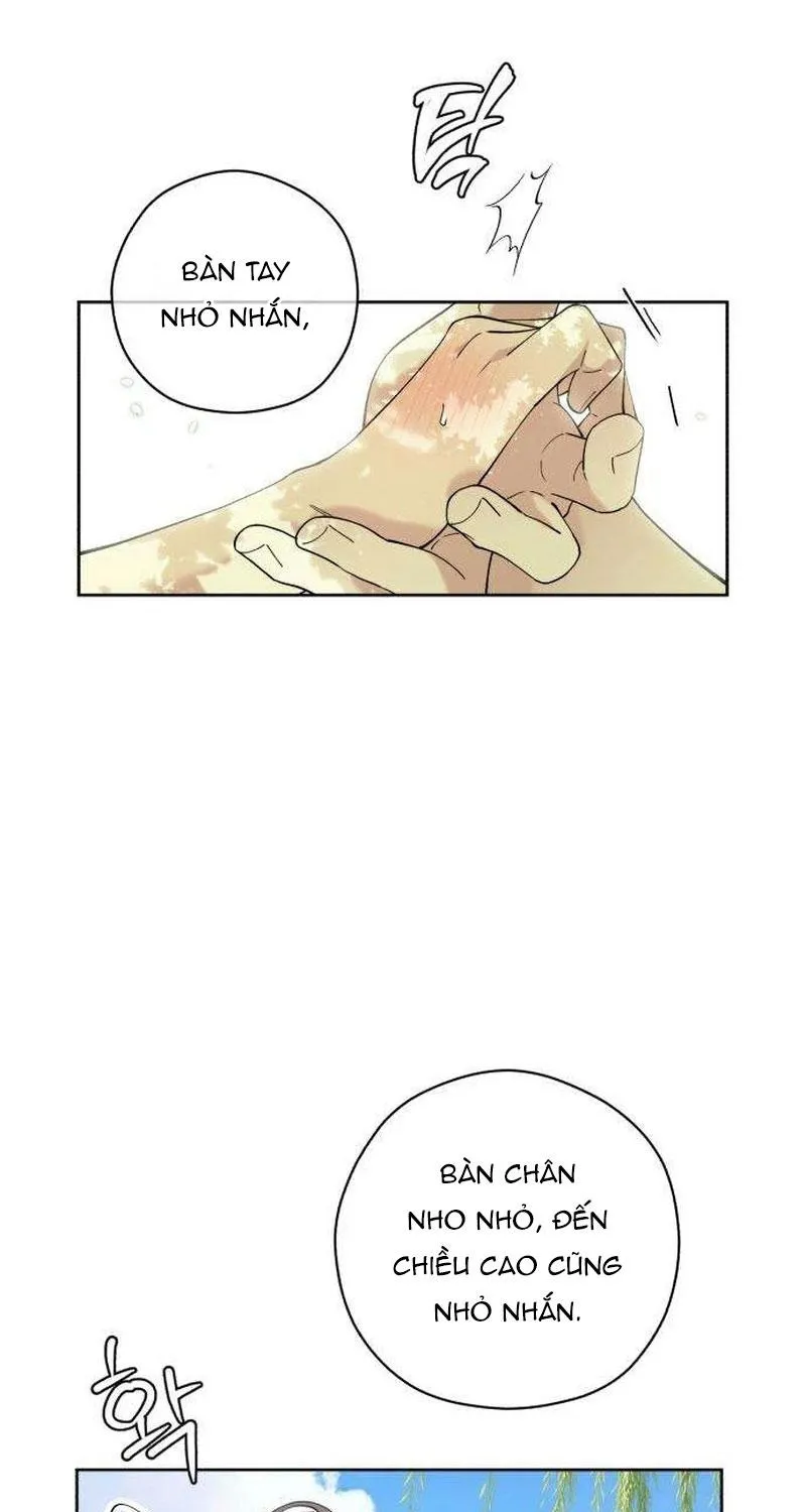 Chapter 26 - Trang 67