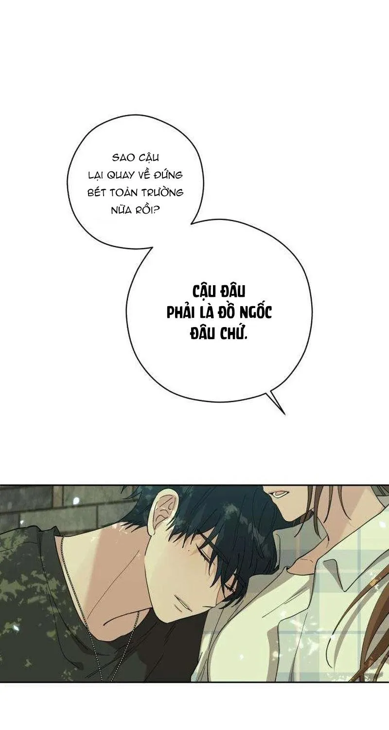 Chapter 26 - Trang 78