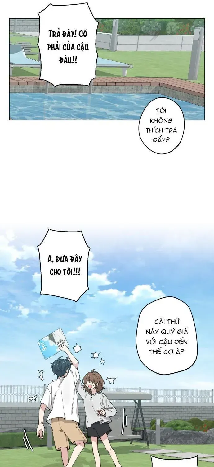 Chapter 5 - Trang 19