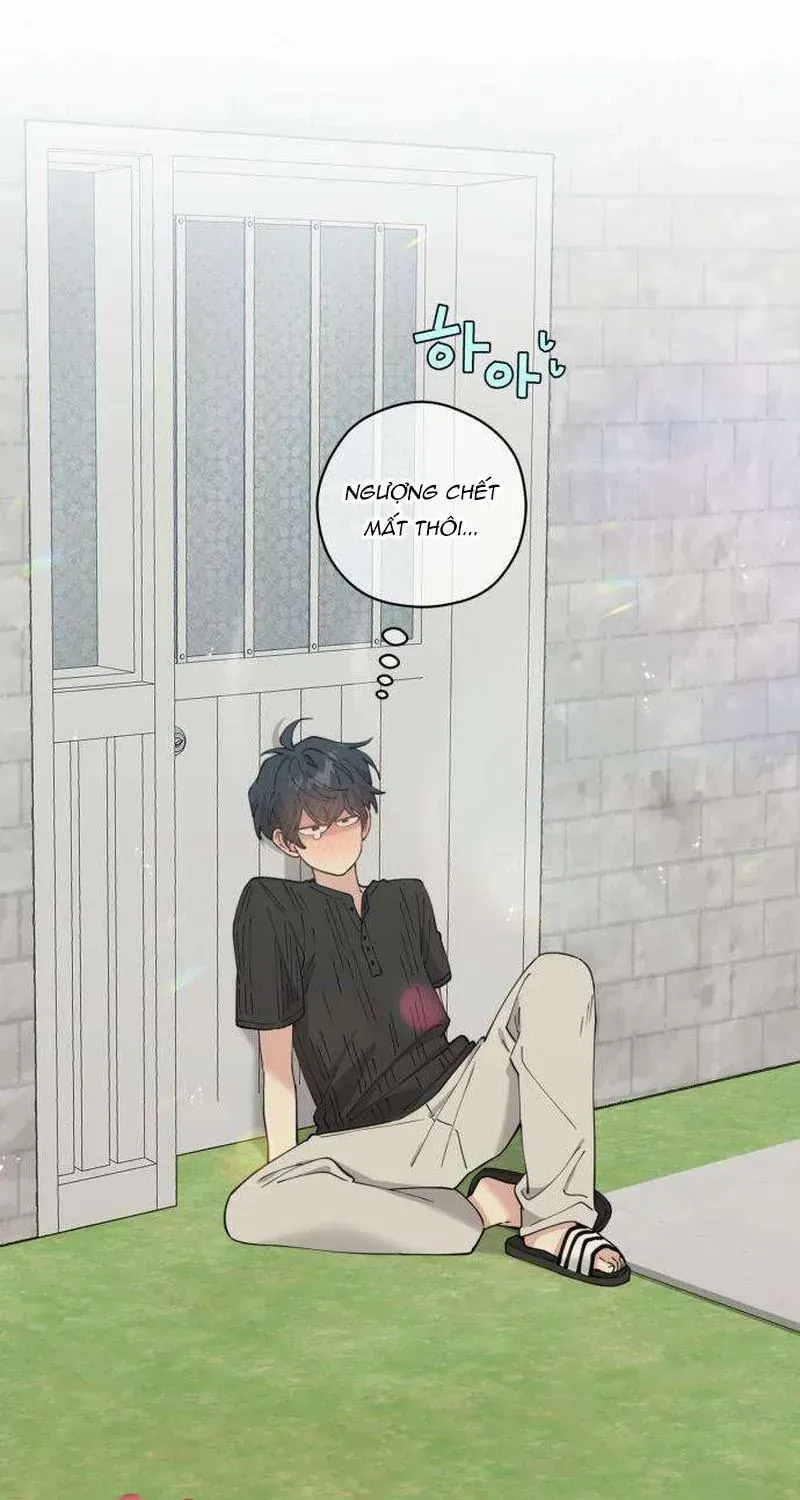 Chapter 8 - Trang 4