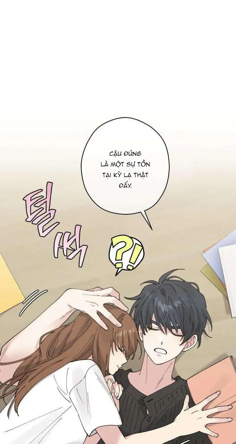 Chapter 8 - Trang 50