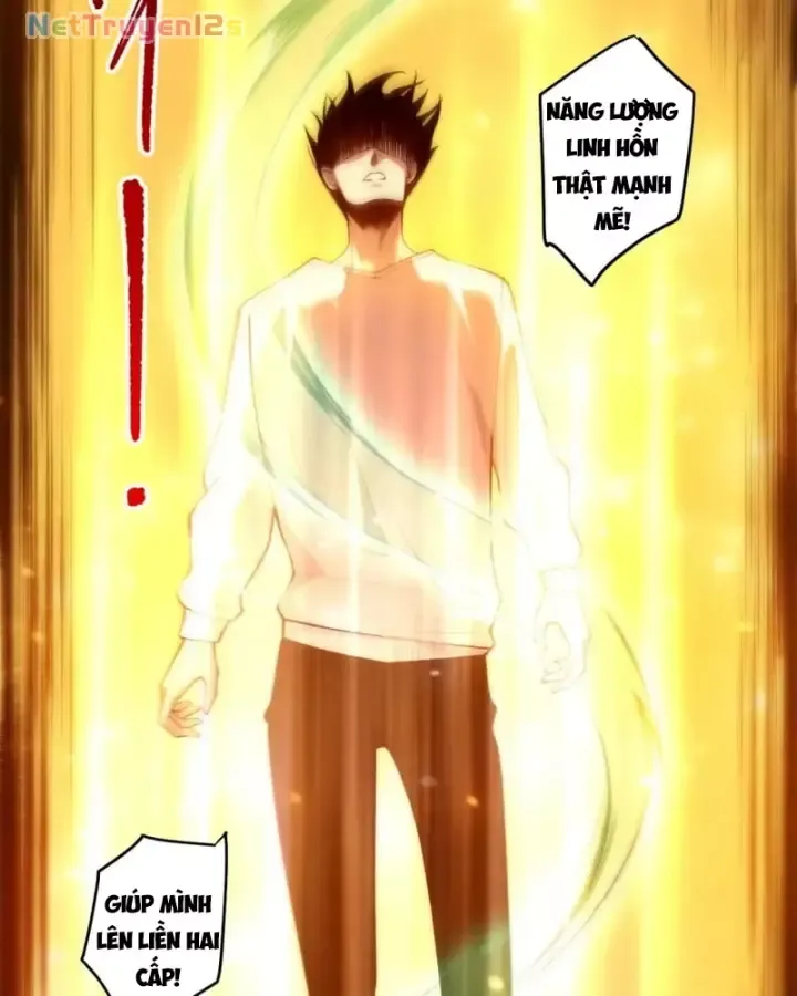 Thảm Họa Tử Linh Sư - Chap 288 - Trang 43