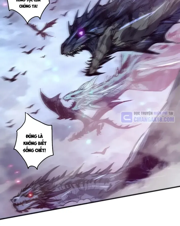 Thảm Họa Tử Linh Sư - Chap 294 - Trang 61
