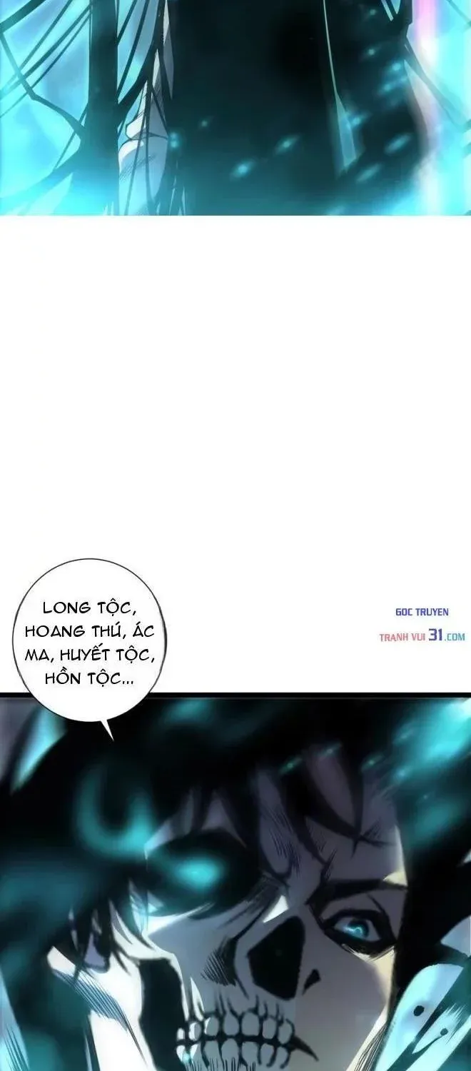 Thảm Họa Tử Linh Sư - Chap 305 - Trang 3