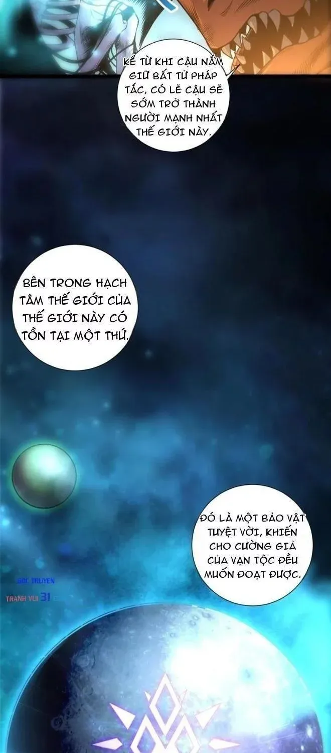 Thảm Họa Tử Linh Sư - Chap 305 - Trang 5