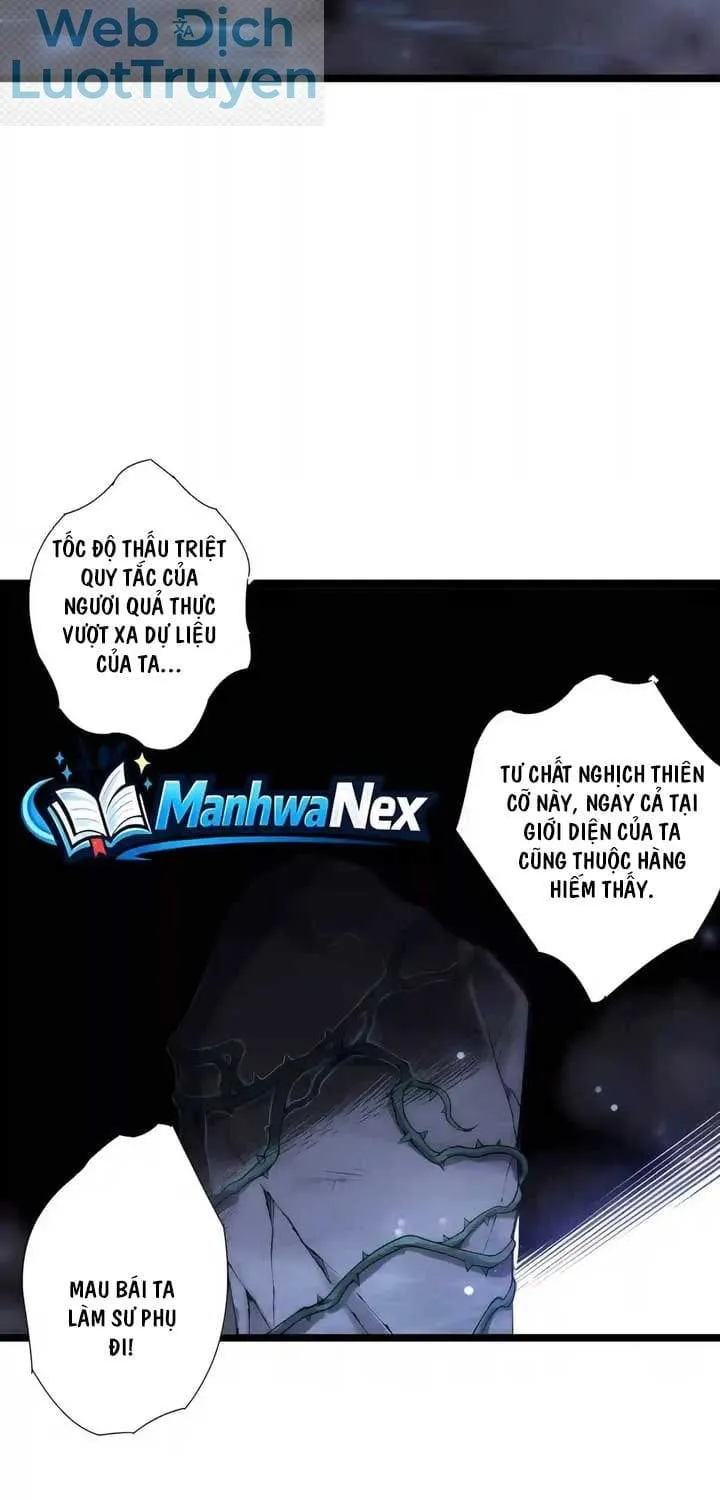 Thảm Họa Tử Linh Sư - Chap 311 - Trang 6