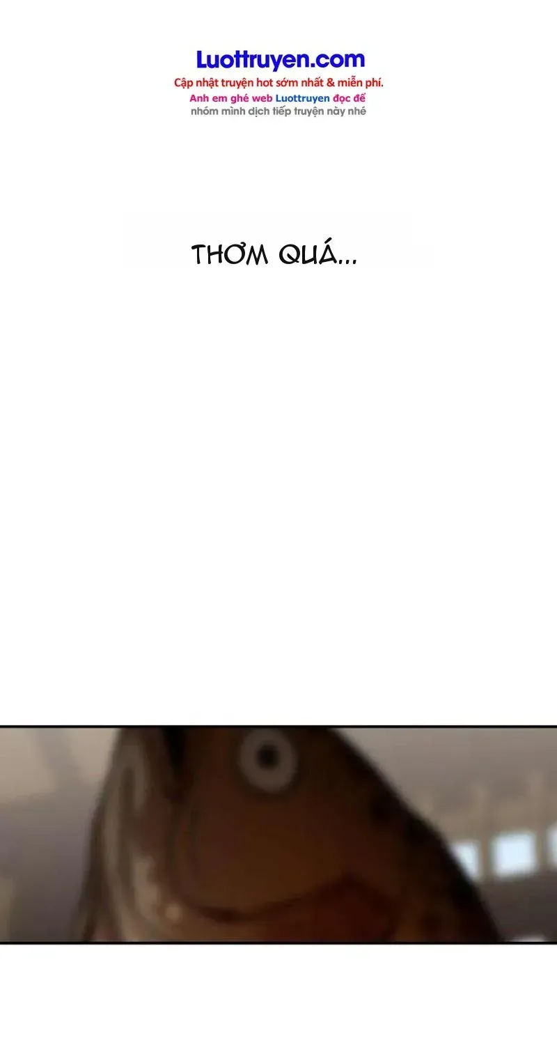 Chapter 3 - Trang 37