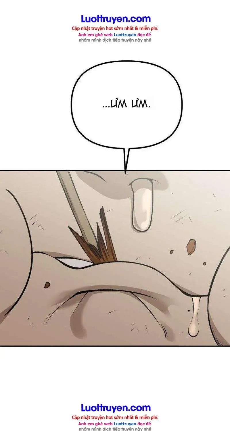 Chapter 3 - Trang 49