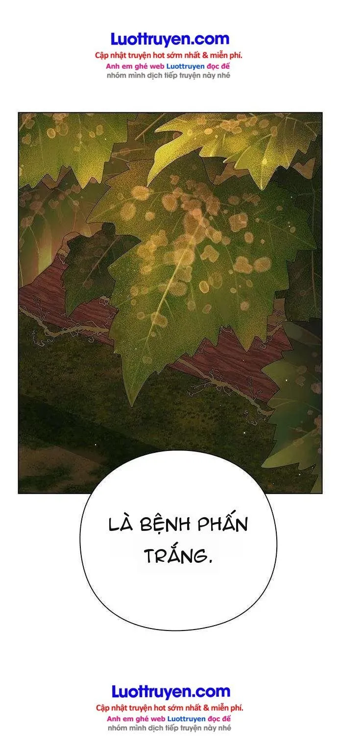 Chapter 2 - Trang 41