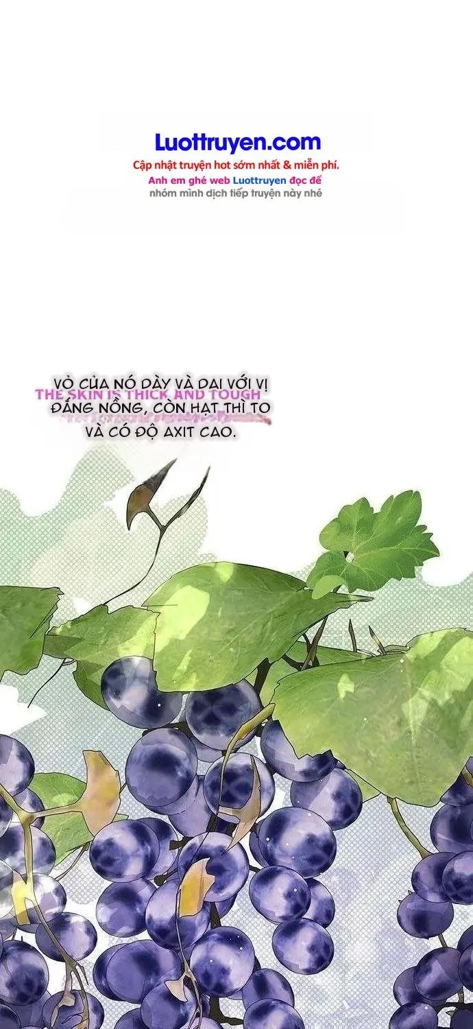Chapter 6 - Trang 85