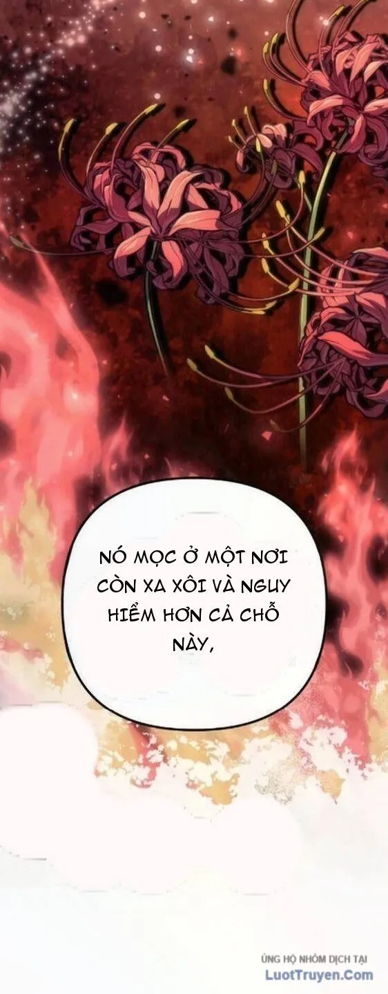 Thần Thịnh Vượng - Chap 34 - Trang 47