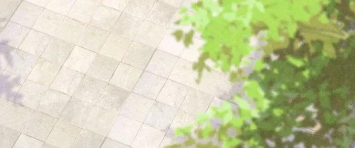 Chapter 28 - Trang 111
