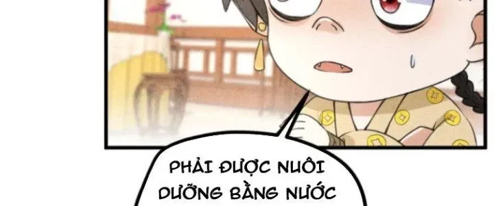 Chapter 28 - Trang 23