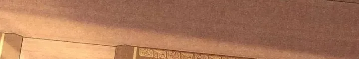 Chapter 55 - Trang 15