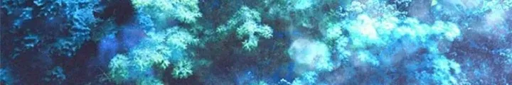 Chapter 57 - Trang 103