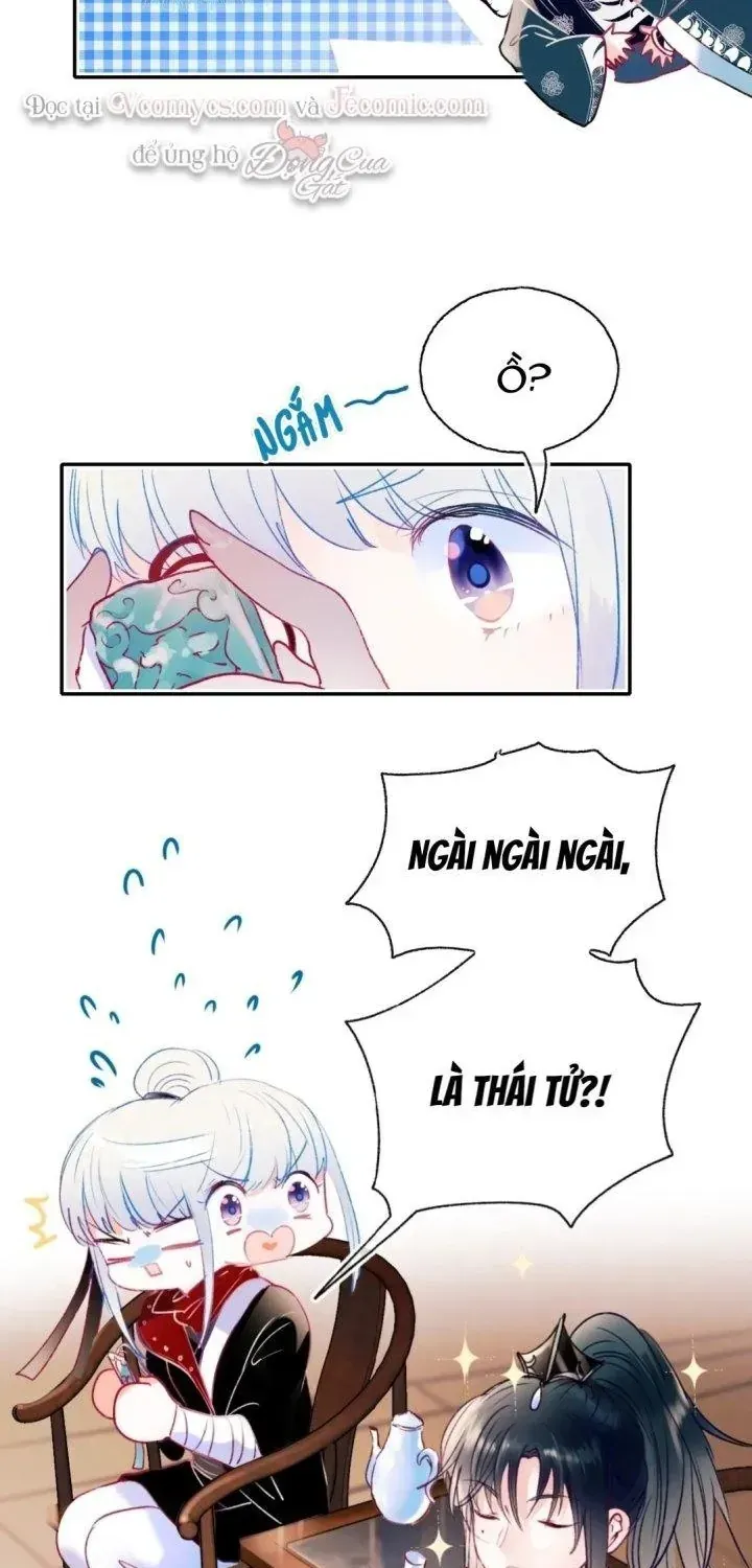 Trang 19