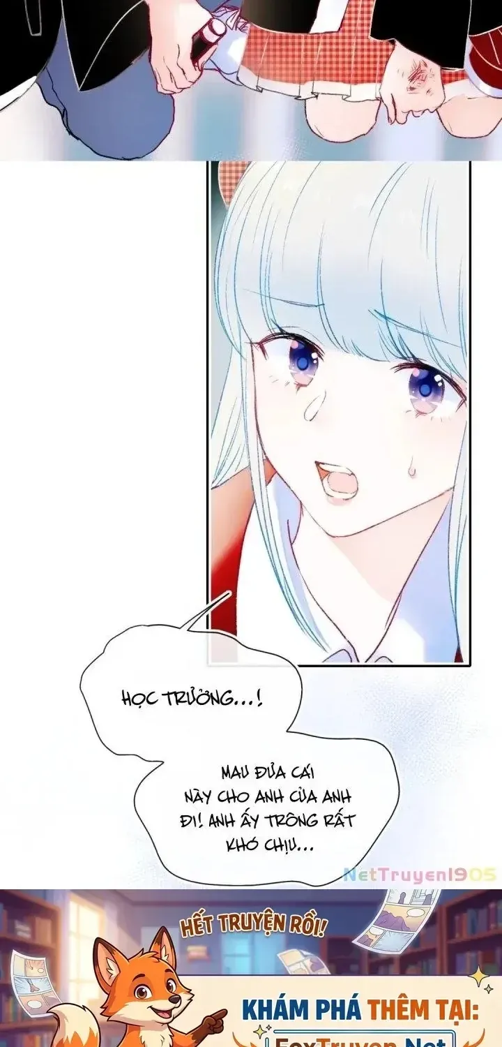 Trang 24