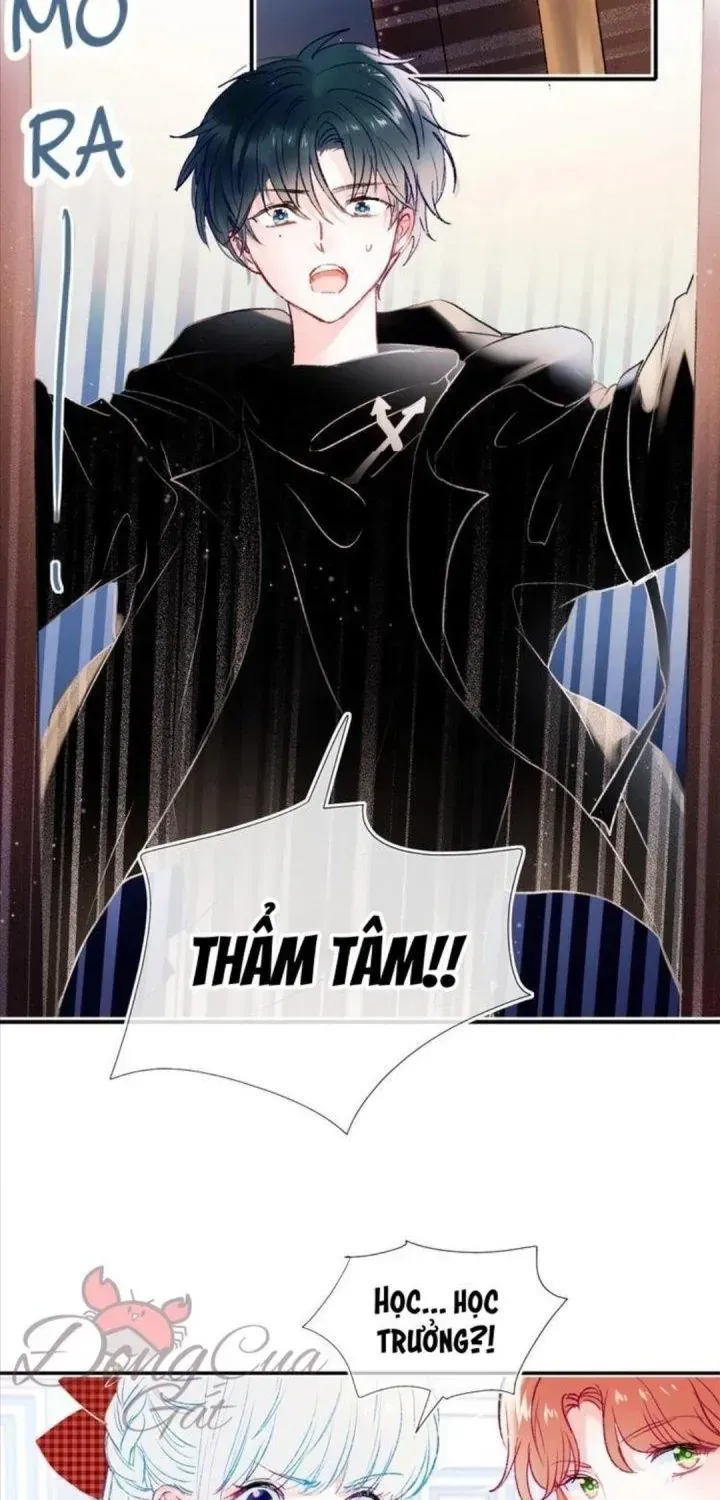 Trang 15
