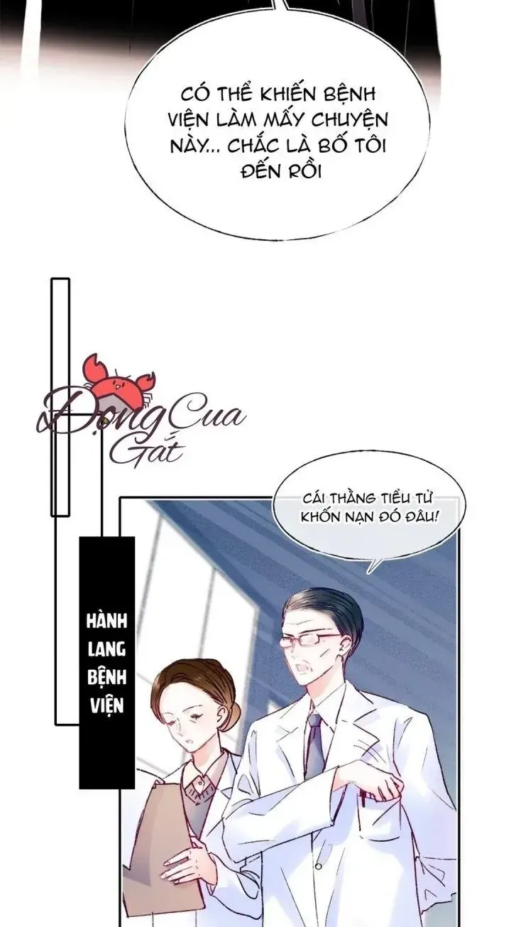 Trang 14