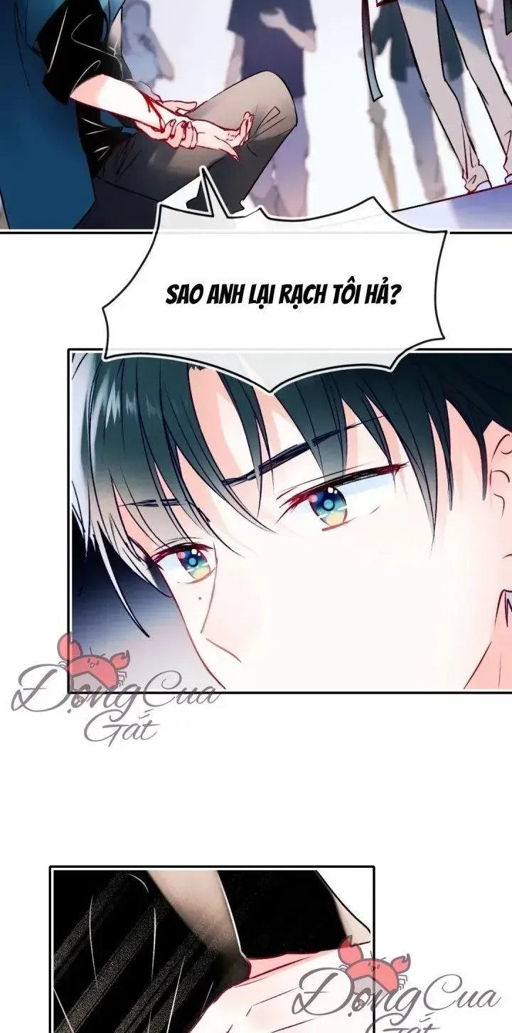 Trang 16