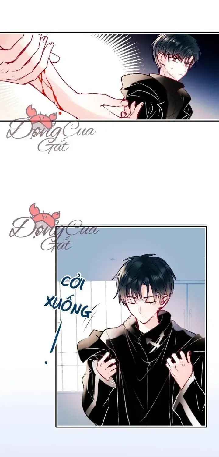 Trang 19