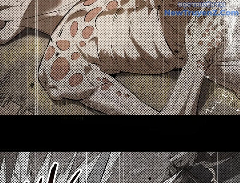 Thánh Hiệp Sĩ Cấp Sss - Chap 70 - Trang 4