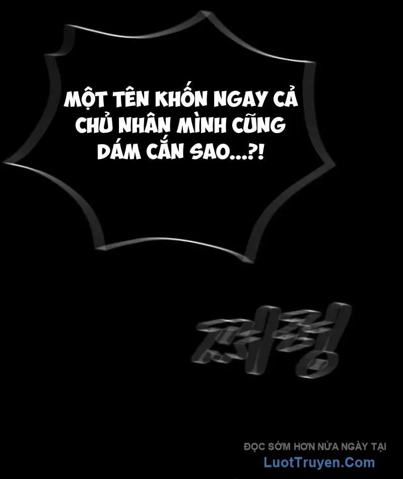 Trang 118