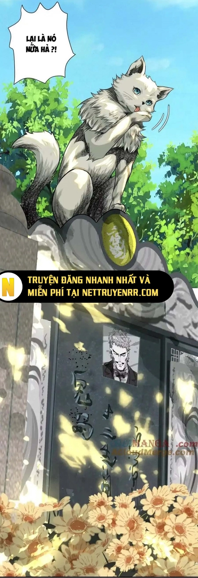 Trang 23